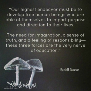 Steiner quote regarding education - #waldorf