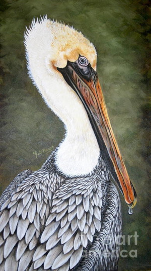 The Pelican