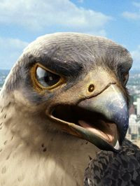 won't hurt him. The sidewalk will!