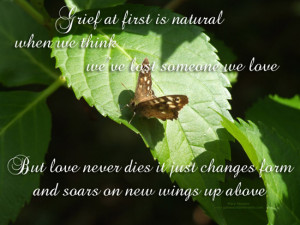 ... Love But Love Never Dies It Just Changes Form And Soars On New Wings