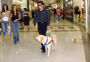 seeing eye dog leading a blind man in a mall. (Wikipedia image)