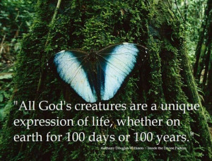 ... or 100 years.