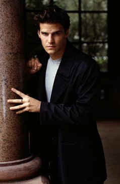 Huh, check out these babies;good-bye, stakes, hello, flying fatality ...