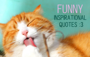 19 Funny Inspirational Quotes to Laugh Your Way to Self Improvement