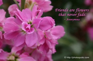 Flowers are friends that never fade. ~ Anonymous