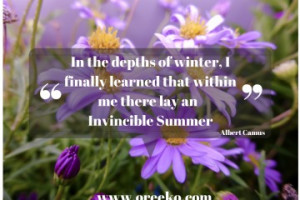 Invincible Summer Quote via oreeko.com