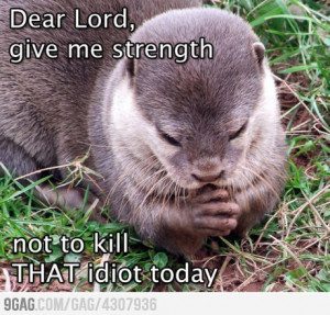 funny dear otter dear Lord give me the strength not to kill this idiot ...