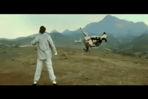 gif # cow # matrix dodge # kung pow # kung pow enter the fist