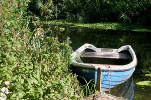 Beautiful Summer Morning Inspirational Quote of the Day November 30 ...