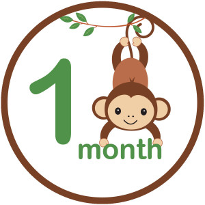 Baby Boy Monkey Clip Art Monkey monthly iron on sticker