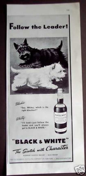 Funny Quotes Contact Dmca