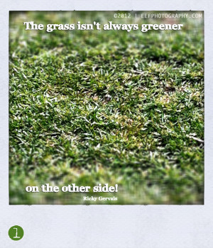 Quotes | The grass isn’t always greener on the other side…