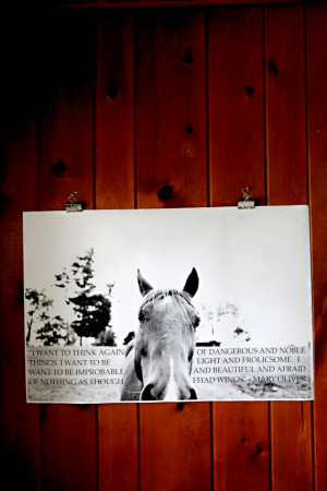 horse, farm, typography, quote black and white poster oversized horse ...