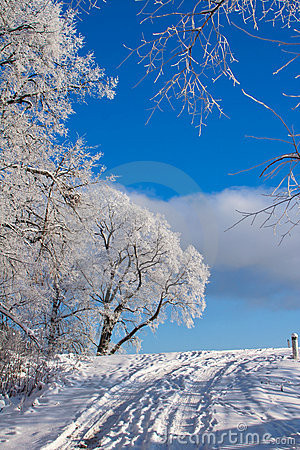 Beautiful Nature Winter