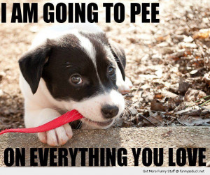 cute puppy dog happy going to pee everything you love animal funny ...
