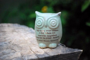 Owl Winnie the pooh quote on mint friendship by claylicious