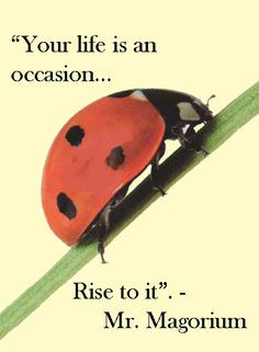 My senior quote! Woo