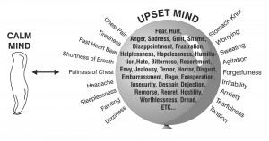 calm-mind-upset-mind.jpg