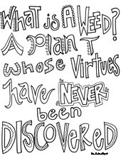 teen quotes colouring pages (page 2)