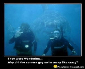 Funny Pictures Helpfull Shark