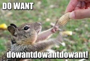 Funny Squirrel Reaching Nut...