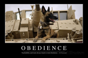 Obedience: Inspirational Quote and Motivational Poster Photographic ...