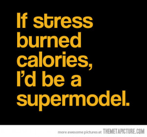 Funny photos funny stress quote burn calories