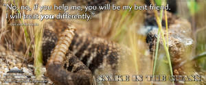 Snakes in Mythology: Serpent (symbolism):