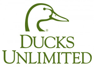 ... and Ducks Unlimited paint a bright future for wetlands - Yahoo Finance