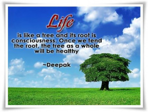 Life is like a tree.