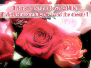 Friends are the roses of life,Pick them carefully & Avoid the thoms ...