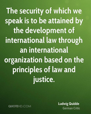 ... international law through an international organization based on the