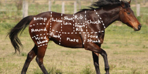 Would tougher EU rules have stopped the horse meat scandal?