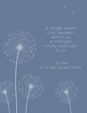 Pin it Like Visit Site