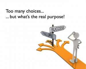 Too Many Choices But Whats The Real Purpose Success Failure