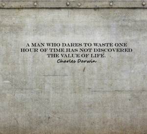 Charles Darwin Quotes on Wasting Time Custom Wall Decor Decal Stickers