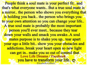 People think a soul mate is your perfect fit...