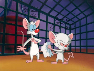 Pinky and The Brain Pinky & the Brain