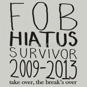 Fall Out Boy Hiatus Survivor