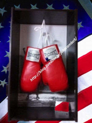 0953：限定品ロッキーのレプリカボクシングローブ