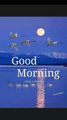 Gd mrng/noon/evng/nght