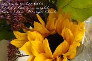 Sunflower Quotes Cover Photo School's out, spirit's free at