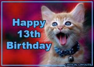 Funny 13th Birthday Quotes Kitten-bday-13th