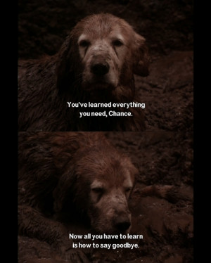 homeward bound #jif #queue