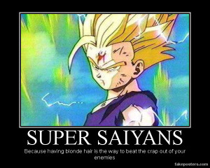 Dragon Ball Demotivational Picture