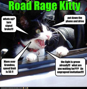 road rage kitty