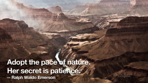 grand-canyon-quote.jpg