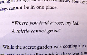 My Favorite Discussion Points from The Secret Garden