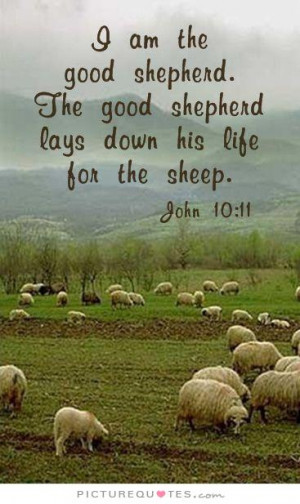 am the good shepherd. The good shepherd lays down his life for the ...