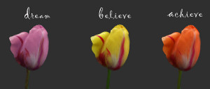 ... Achieve, Believe in God, , Dream Believe Succeed, Believe Dream Quotes